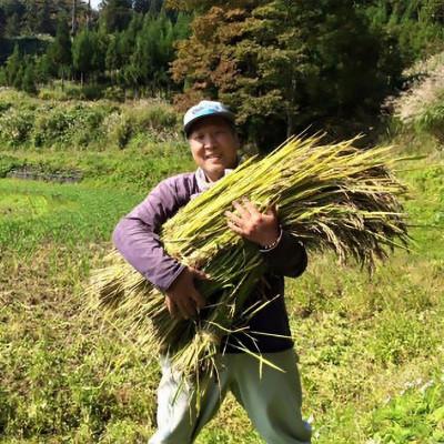 ふるさと納税 上越市 令和7年産「ミルキークイーン」新潟県上越産 玄米5kg(1袋) |  | 01