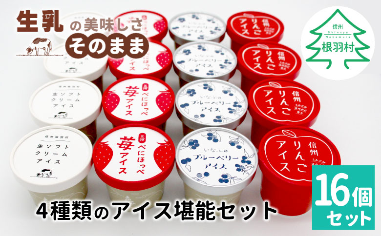 予約品★4種類のアイス堪能16個セット 80ml 100ml　アイスクリーム アイス 苺　ブルーベリー　りんご 詰め合わせ アソート