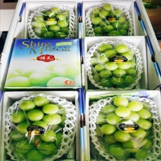 ＜晴王＞シャインマスカット 晴王 特選 700g 6房 化粧箱入 岡山県産【特別選定】