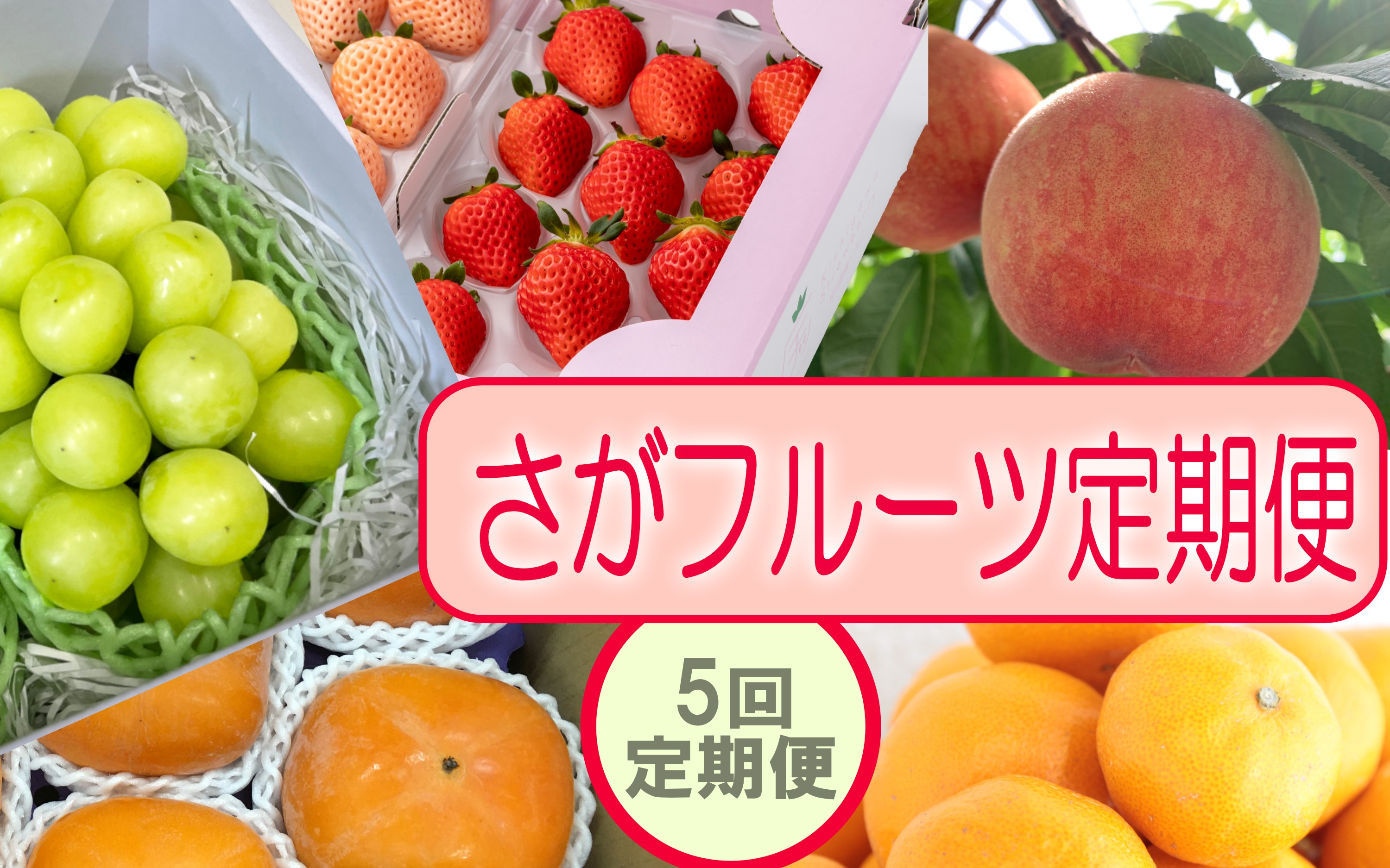 
                  【定期便セット】佐賀の旬 フルーツ定期便 年5回(いちご、桃、シャインマスカット、柿、みかん)
                