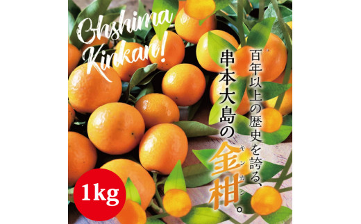 【フルーツ王国 和歌山県からお届け】串本大島のキンカン 1kg （2L～L）※2026年3月より順次発送　 金柑 きんかん 果実 フルーツ 国産 和歌山【jak101】