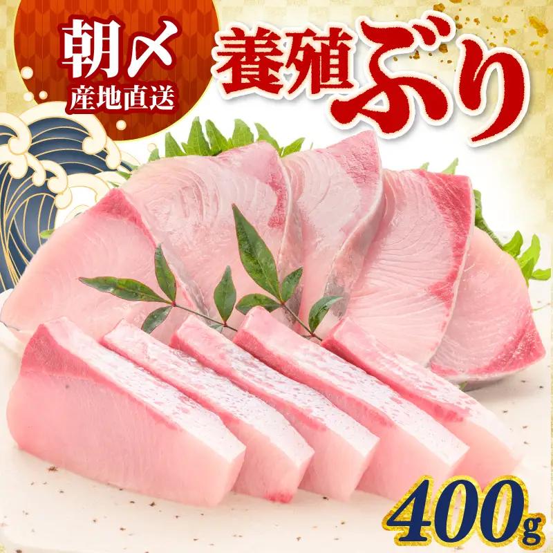 ぶり 400g 冷蔵 刺身 ブリ 鰤 お刺身 たたき しゃぶしゃぶ 鍋 カルパッチョ 丼 鮮魚 魚 お届け指定日 指定日 お試し 新鮮 魚介 海鮮 海産物 海鮮丼 養殖 刺し身 お刺し身 ブロック フィレ 柵 ギフト 国産 贈答用 お歳暮 お中元 お祝い 人気 サンライズファーム 高知県 四国 宿毛