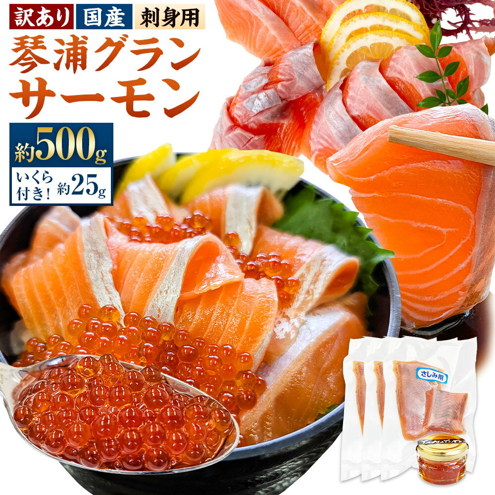 【ふるさと納税】【訳あり】養殖期間中薬剤未使用で安心 国産 とっとり琴浦グランサーモン 刺身用 約500g いくら付 小分け個包装で便利 トラウトサーモン 鮭 サケ さけ しゃけ シャケ さかな 魚介類 水産物 冷凍 鳥取県産 兵庫県 新温泉町 送料無料