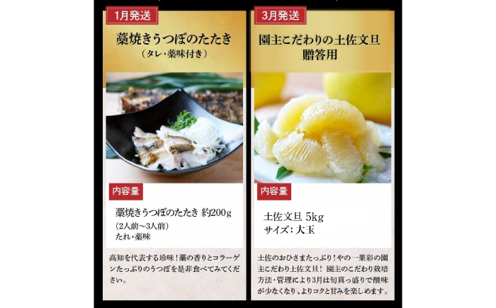 高知県 土佐市 高知 土佐 名物 詰め合わせ セット 人気 おすすめ