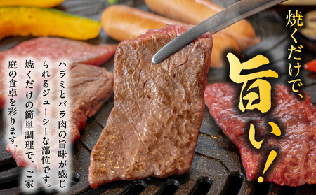 【丸善特製ダレ】希少部位 牛肉 うちハラミ 1.2kg（400g×3）