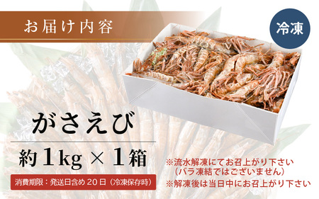 がさえび 約1kg × 1箱 漁師も唸る格別の味！ 越前三国港産【 ガサエビ ガラエビ ザコエビ がらえび がまえび 有頭 殻付き 希少 海鮮 冷凍 三国】 [B-1603]