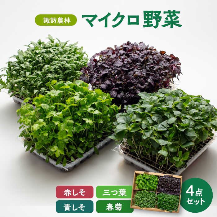 【ふるさと納税】マイクロ野菜 4点セット〈 赤しそ 青しそ 三つ葉 春菊 〉【諏訪農林】 [TDO002]