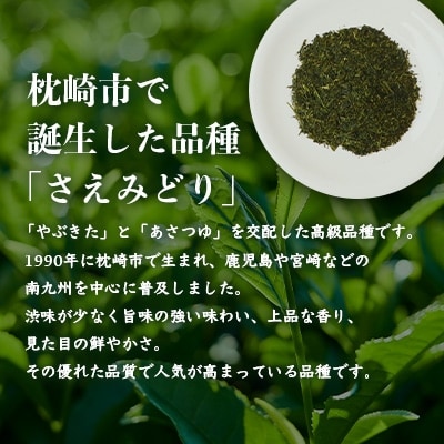 1番茶(新芽)のみを使用 有機煎茶【さえみどり】KAORU園 (100g×3本)  B3-60【1167075】