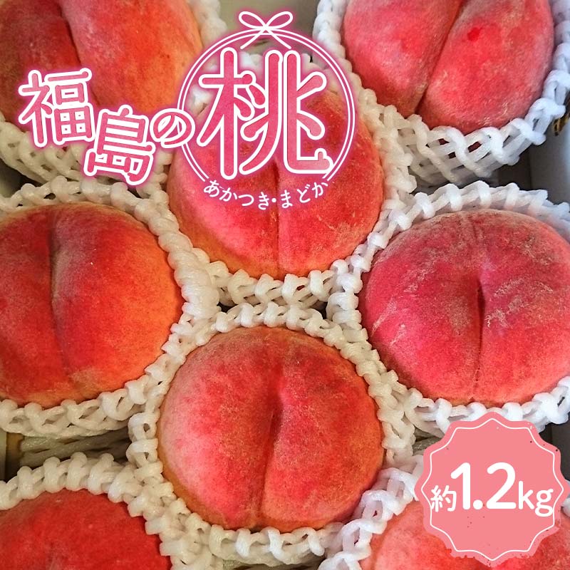 【ふるさと納税】【2026年出荷分先行予約】福島県産 あかつきor まどか 約1.2kg (4～6玉) あんぽの柿の里ガンバっぺぃいさざわ企業組合 五十沢ブランド 伊達の桃 桃 フルーツ 果物 もも モモ momo F20C-934