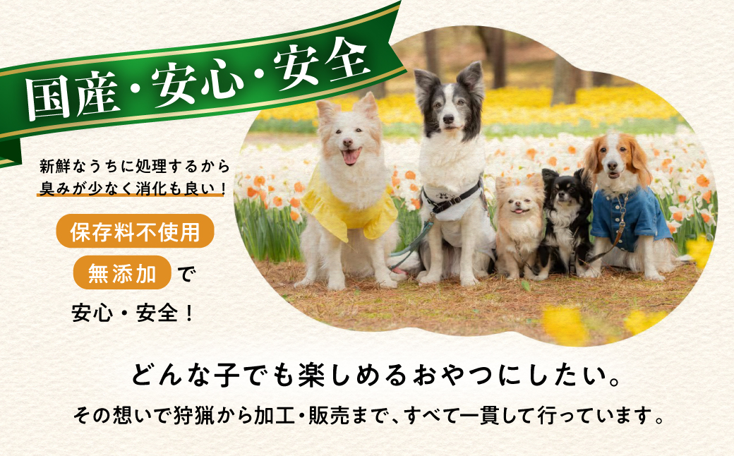 ごちそうペットフード イノシシ肉ジャーキー 100g ジビエ ジャーキー ペット 犬 愛犬 ワンちゃん わんちゃん ごはん ご飯 いのしし イノシシ 猪 ジャーキー 低カロリー たんぱく質 健康 ペッ