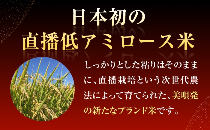 精米 お米 米 北海道 北海道米 白米 ご飯 こめ コメ ライス