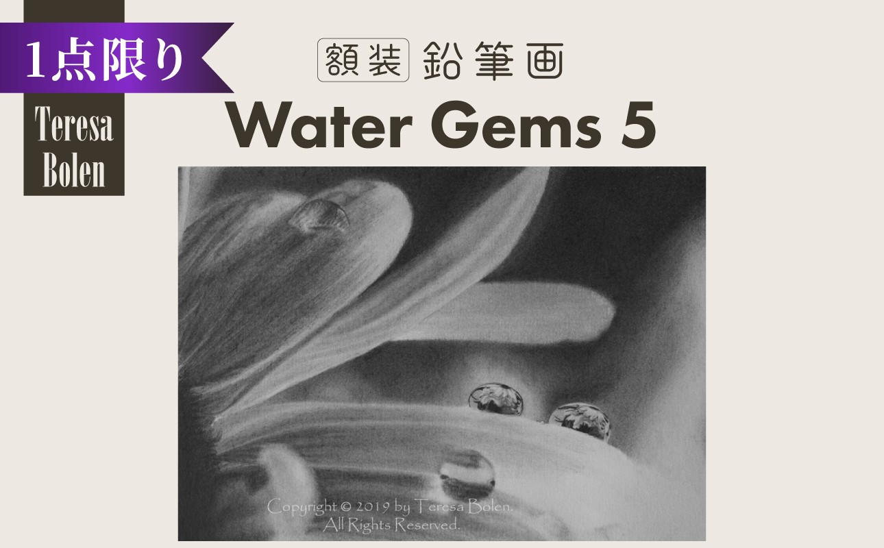 
                  鉛筆画 Water Gems 5 ふるさと納税 鉛筆画 手描き 世界に一つ Water Gems アメリカン・アート・アワード国際公募展 マスターピース賞 プレゼント インテリア アート 美術 木津川市 【104-02】
                