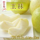 【ふるさと納税】【贈答用】王林　約4.5kg（14玉～18玉）　【 箕輪町 】　お届け：2024年11月上旬～11月下旬