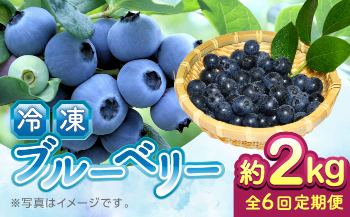 
            【先行予約】【8月より順次発送】【全6回定期便】【加工用】冷凍ブルーベリー 2kg【「のん気・元気」百姓家】 [YAL030]
          