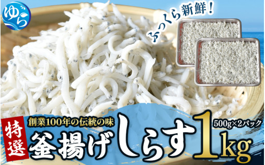 
            【しらす 釜揚げ】特選 1kg 釜揚げ 釜揚 釜あげ シラス しらす丼 国産 冷蔵 個包装 魚 お魚 さかな 食品 和歌山県 由良町 新鮮 【uoms001】
          