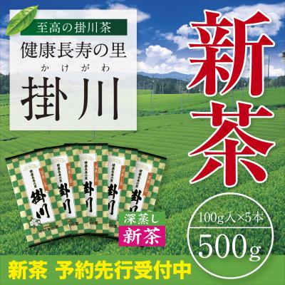 ふるさと納税 掛川市 【新茶予約・令和8年度産】特上掛川茶「健康長寿の里 掛川」100g×5本セット　5月上旬頃〜発送