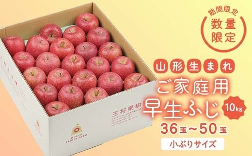 《先行予約 2026年度発送》【王将果樹園】ご家庭用早生ふじ 10kg りんご リンゴ 林檎 デザート フルーツ 果物 くだもの 果実 食品 山形県 FSY-2567