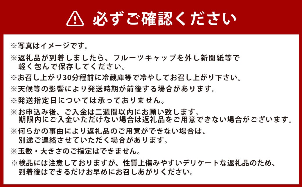 岡山の白桃 6～8玉入り 約2kg
