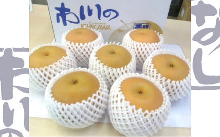 市川の梨　豊水　3kg（5～8個入り）　【12203-0124】