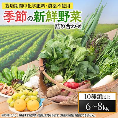 ふるさと納税 輪之内町 【栽培期間中化学肥料・農薬不使用なので安心・安全】　季節の新鮮野菜の詰め合わせ