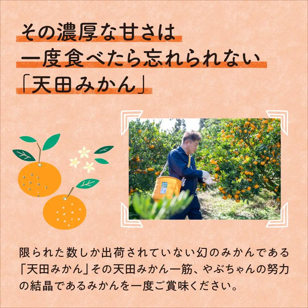 【0617-4】希少！天田みかん（紀州和歌山）ご家庭用10kg