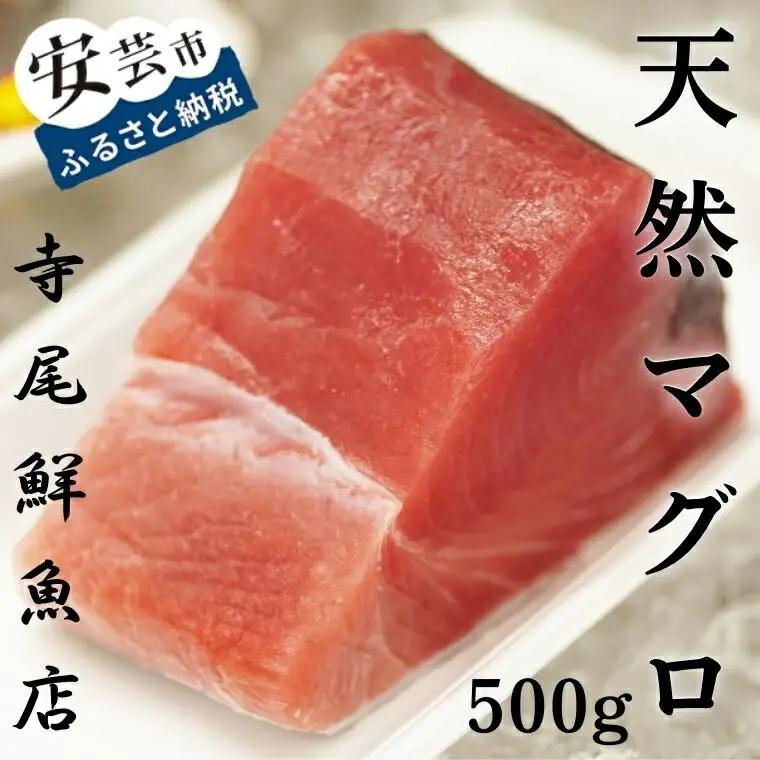 天然 キハダマグロ 赤身ブロック500g
