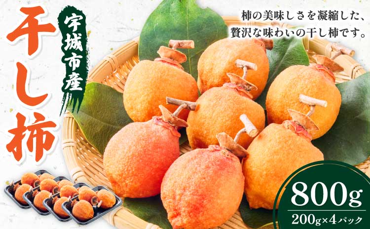 先行予約 干し柿 200g×4パック 合計800g 2025年12月中旬から2026年2月上旬頃発送予定 干柿 柿 ドライフルーツ 自然食品 伝統食 お茶菓子 九州産 熊本県産 宇城市産