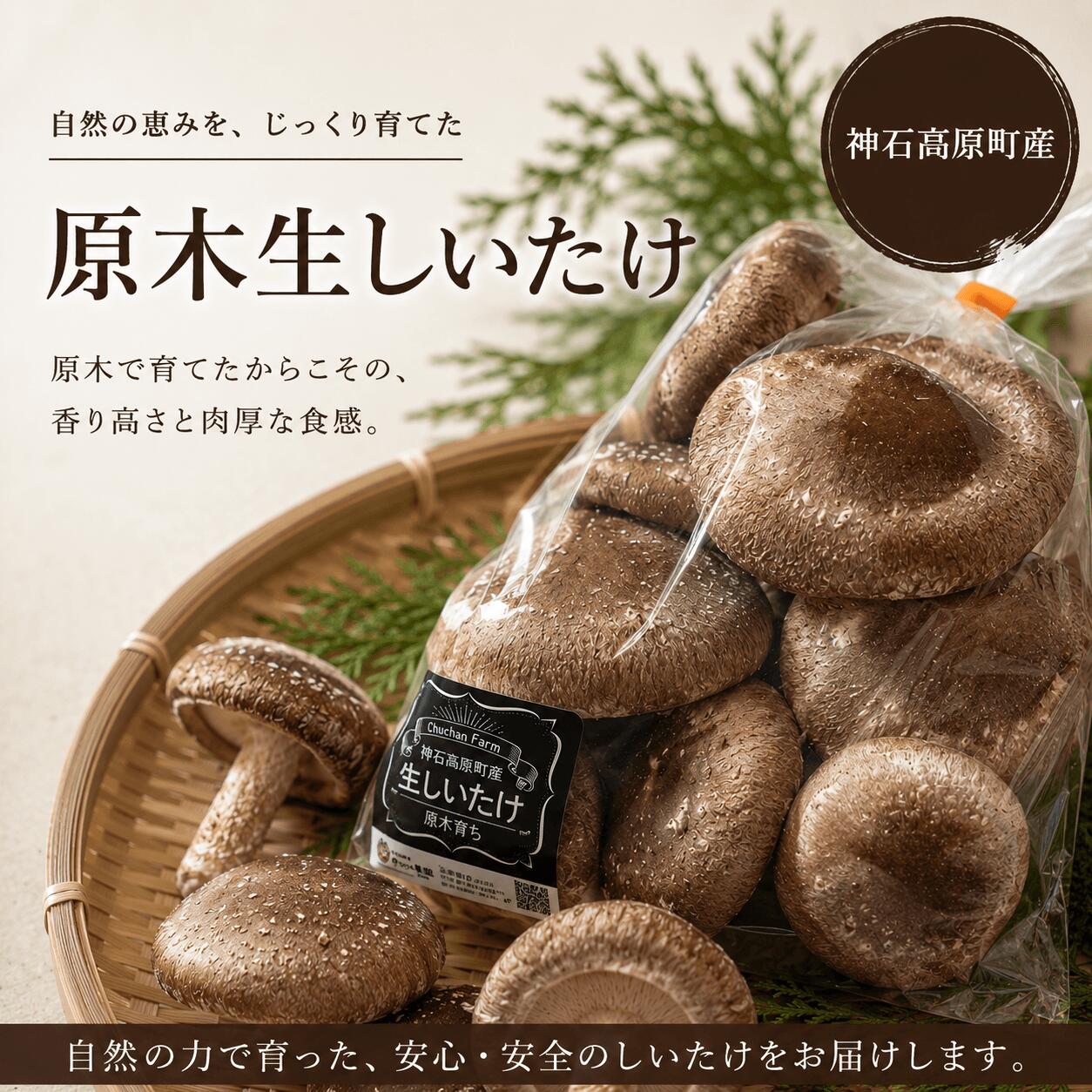 【ふるさと納税】原木生しいたけ 約200g 神石高原産 肉厚で香り豊か 原木栽培 椎茸 しいたけ 国産｜中ちゃん農園 広島県 神石高原町