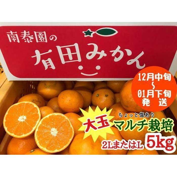 ちょっと 傷あり マルチ栽培 有田 みかん 大玉 2L または L サイズ 5kg 南泰園