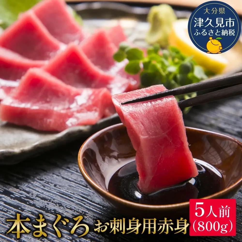 本マグロ お刺身 赤身 5人前 (800g) | 本マグロ 津久見市