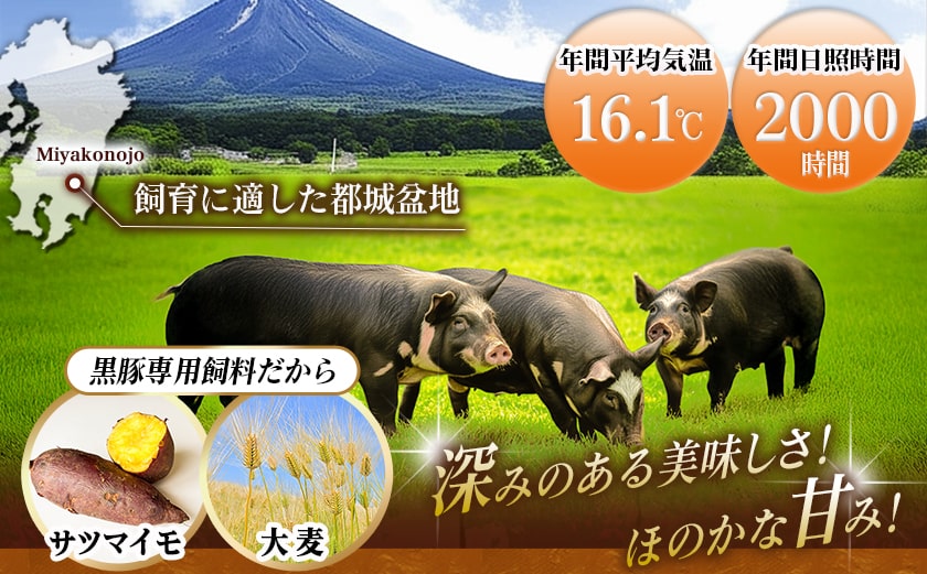 黒豚肩ロースしゃぶしゃぶ用500g&ポークソーセージセット_AA-N405