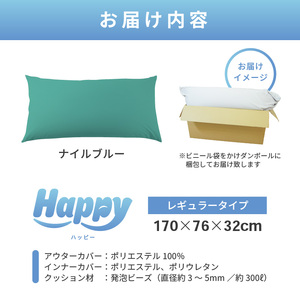 【ナイルブルー】ソファにもベッドにも◎軽量＆万能ビーズクッション｜ハッピーレギュラー / 椅子 インテリア 雑貨 クッション しっかり生地 少し固め カラバリ リラックス 手作り 国産 [aw055-