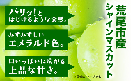 【先行予約】シャインマスカット 2kg(3~5房) フレッシュフーズ 《8月上旬-9月上旬頃出荷》熊本県産(荒尾市産) 柑橘 フルーツ フレッシュフーズ シャインマスカット 果物 美味しいシャインマス