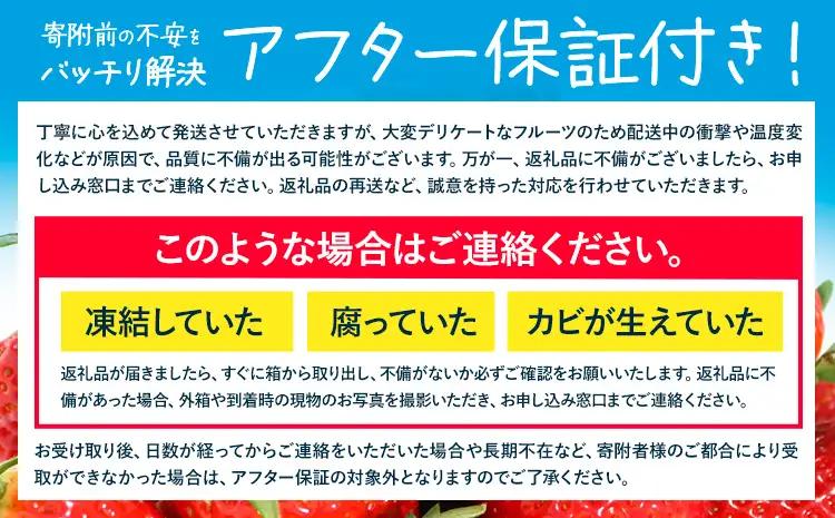 あまおう 1000g いちご 先行予約