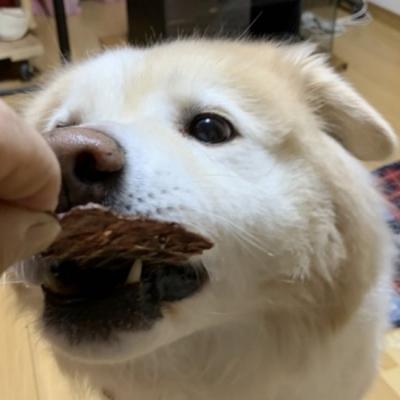 ふるさと納税 安芸高田市 ペットフード クセになるおやつ 鹿肉ジャーキー 40g×2袋[No5895-0545] |  | 02