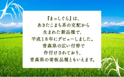 【令和7年産新米】瀬川農場まっしぐら 精米5kg【ご飯 ごはん 米 こめ お米 弁当 精米 一等米 国産米 県産米 ブランド米 おにぎり 国産 青森県 七戸町】【02402-0333】 5kg