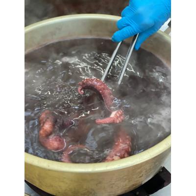 ふるさと納税 南知多町 皓介オリジナル名古屋風醤油たこ焼き「白(昆布味)」50コ【篠島産の蛸使用】CAS冷凍 子供のおやつに |  | 01