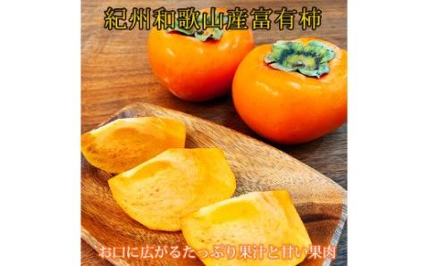 【ご家庭用わけあり】和歌山秋の味覚　富有柿　約3.5kg ※2024年11月上旬頃～11月下旬頃発送【uot741】