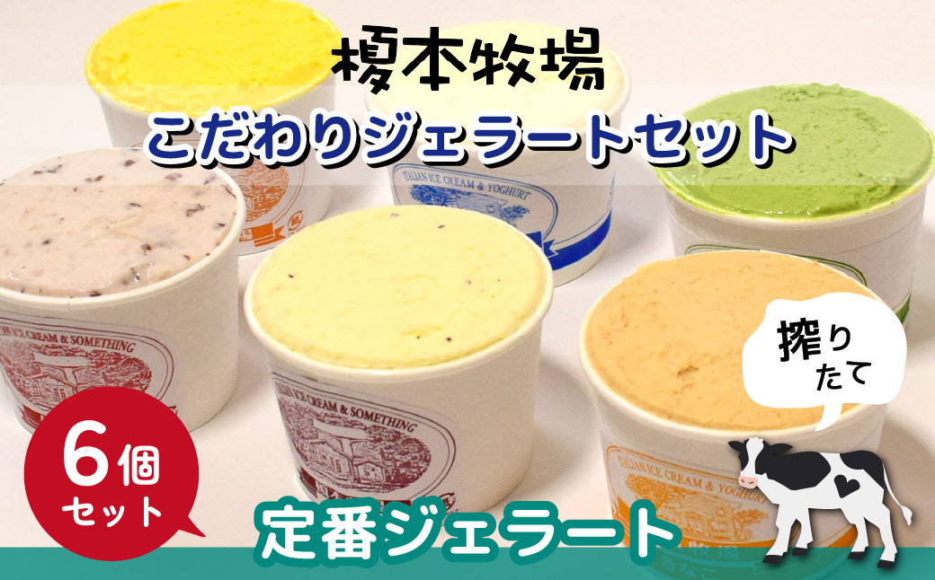 榎本牧場のこだわりジェラート 定番セット 6個 (ミルク、抹茶、イチゴミルク、生チョコ、カボチャ、小倉) | 埼玉県 上尾市 アイス スイーツ デザート 夏 涼 新鮮ミルク ジェラート 抹茶 ミルク 