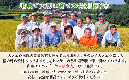 ＜令和7年産 西予市産 特別栽培米 エコえひめ コシヒカリ 玄米 約3kg＞国産 農薬・化学肥料不使用 一等米 3キロ 愛媛県産 こしひかり お米 米 コメ げんまい 産地直送 送料無料 シゲちゃん農