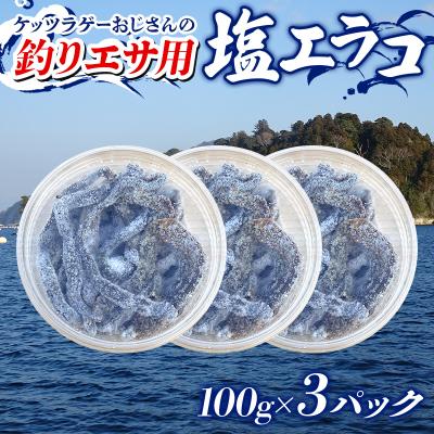 ふるさと納税 山田町 釣り エサ 用 塩エラコ 100g×3パック