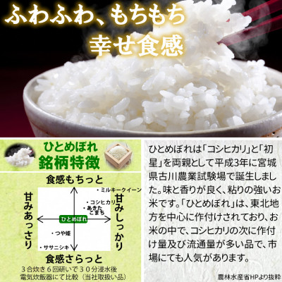 【新米】令和6年産　宮城県産ひとめぼれ 精米10kg【1552382】