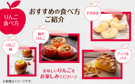 ＜2024年11月中旬よりお届け＞北海道壮瞥町 りんご「ぐんま名月」14～20玉約5kg 【 ふるさと納税 人気 おすすめ ランキング りんご リンゴ 林檎 ぐんま名月 甘い 蜜 北海道 壮瞥町 送料