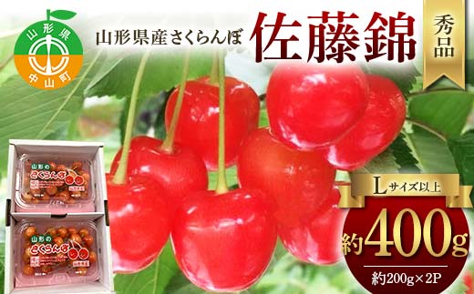 令和9年産【先行受付】山形県産さくらんぼ＜佐藤錦＞秀品 約400g(200g×2P) Lサイズ以上 期間限定 数量限定 山形県産 サクランボ フルーツ 果物 くだもの 贈答 F4A-0963