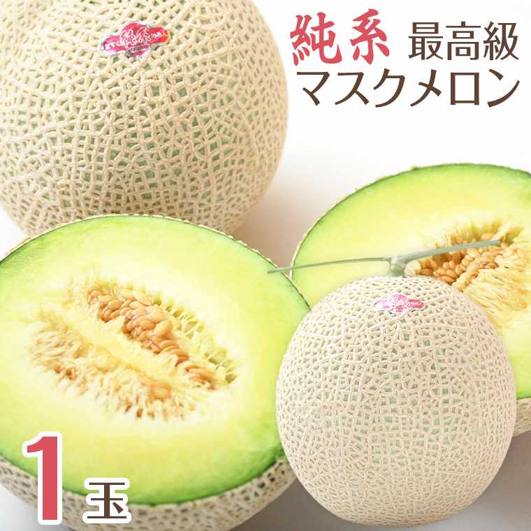 E-1378z 【最高級】純系マスクメロン１玉（化粧箱入）【７～８月発送分】