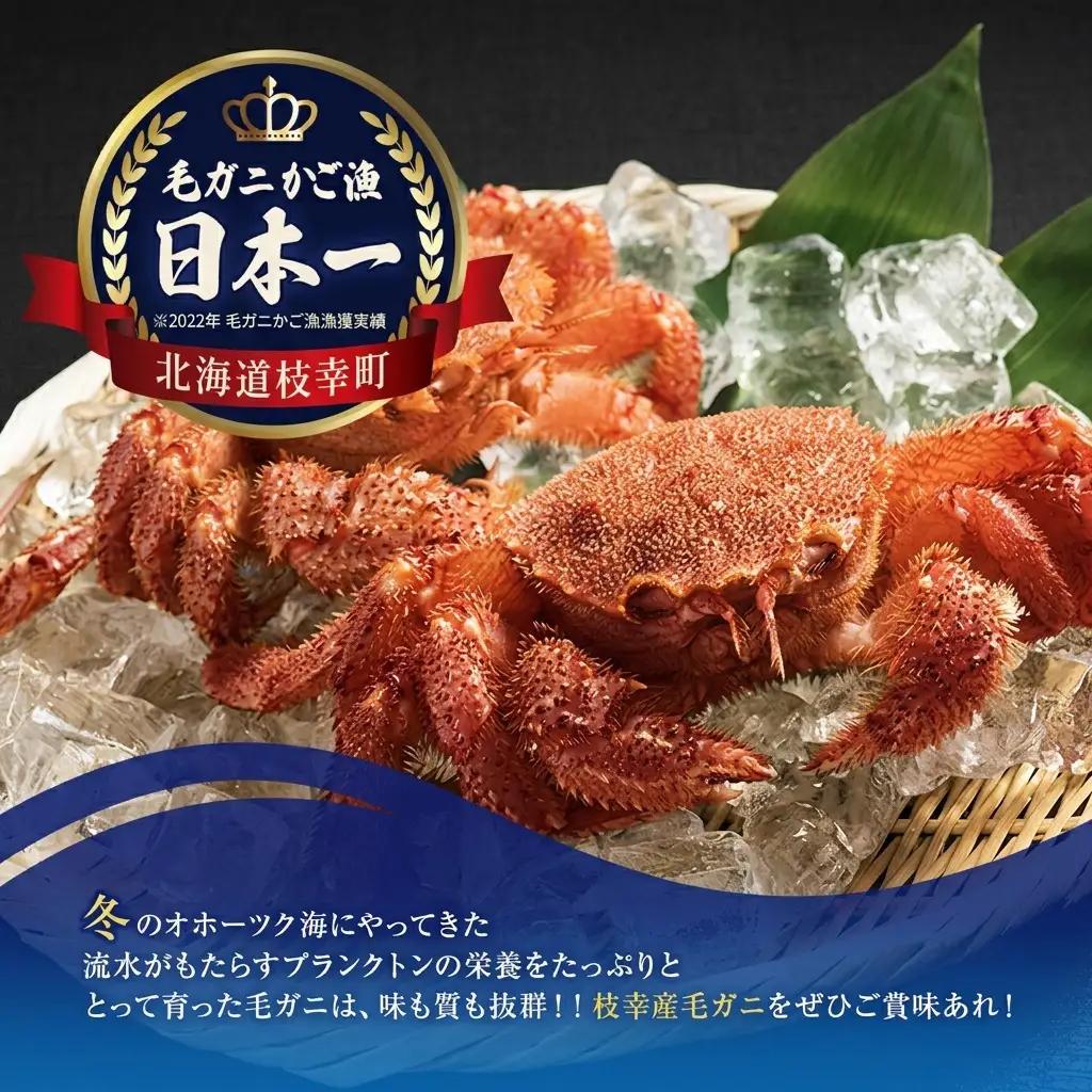 オホーツク枝幸産 マル夢の毛ガニ約570g×2尾【冷凍ボイル】柴田水産【 枝幸産 毛ガニ 蟹 かに カニ 北海道 オホーツク 枝幸 】