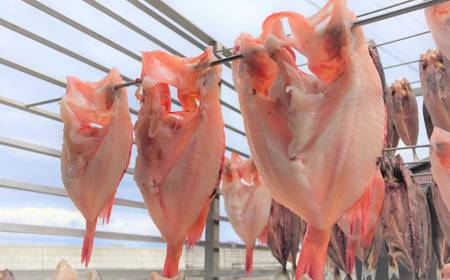 高級ブランド釣きんき一夜干【Lサイズ】  2尾 ABJ015