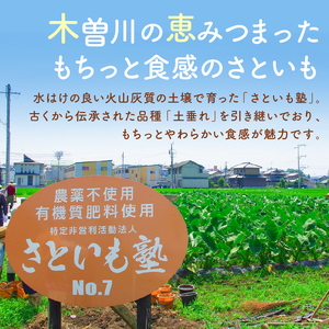 可児のおいしい里芋『さといも塾』 【0011-001】