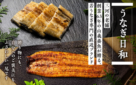 ≪先行予約！ 発送は7月28日～≫ 希少 極上 豊橋うなぎ 蒲焼 厳選 国産 新仔うなぎ 若うなぎ 鰻 簡易包装 ウナギ うなぎ 鰻 蒲焼 山義養魚 ギフト 配布 最高級 ひつまぶし 土用丑の日 ギフ
