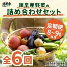 5046797_2022年3月発送1065544 諫早産野菜の詰め合わせ(8～9品目程度)